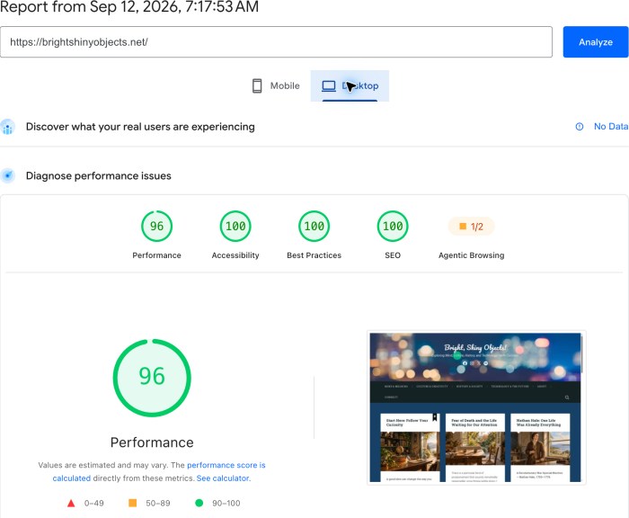 PageSpeed Insights report showing website performance metrics and a page preview.